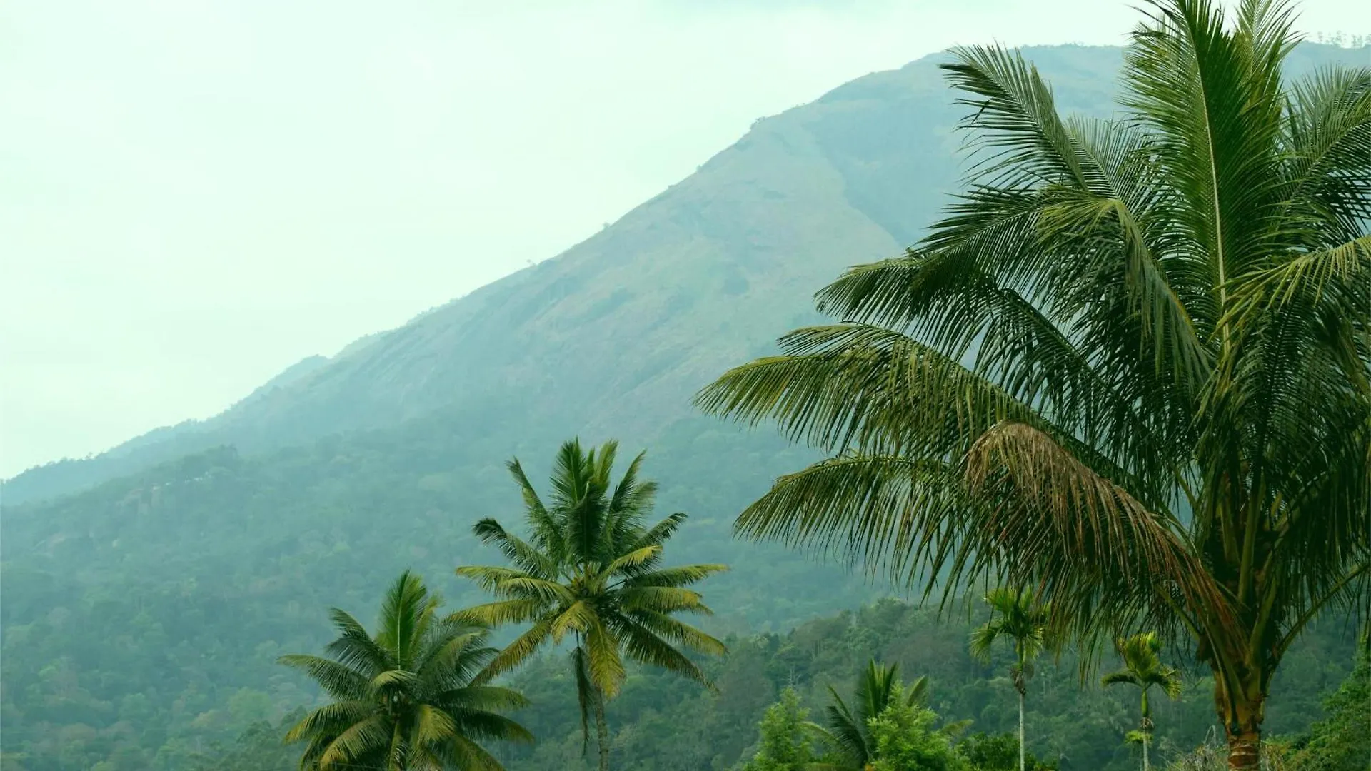 Hill Side Home Anachal 0*,  India
